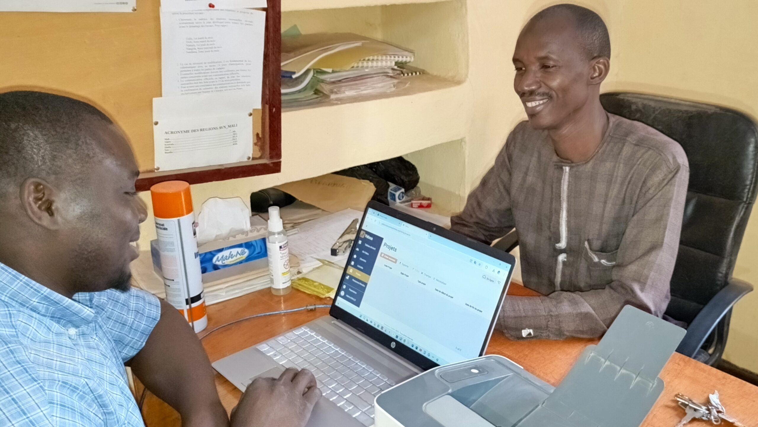 Professional woman working